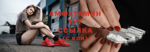 молекула духа Дмитров