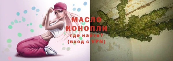 молекула духа Дмитров