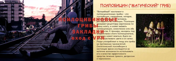 эйфоретик Костерёво