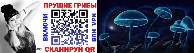 купить наркотик  MEGA как войти  Галлюциногенные грибы мухоморы  Бологое 