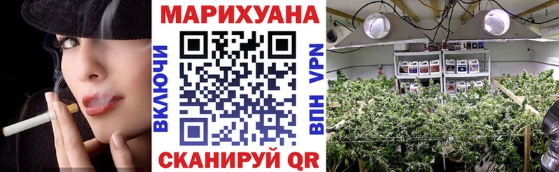 где продают   Бологое  Каннабис гибрид 